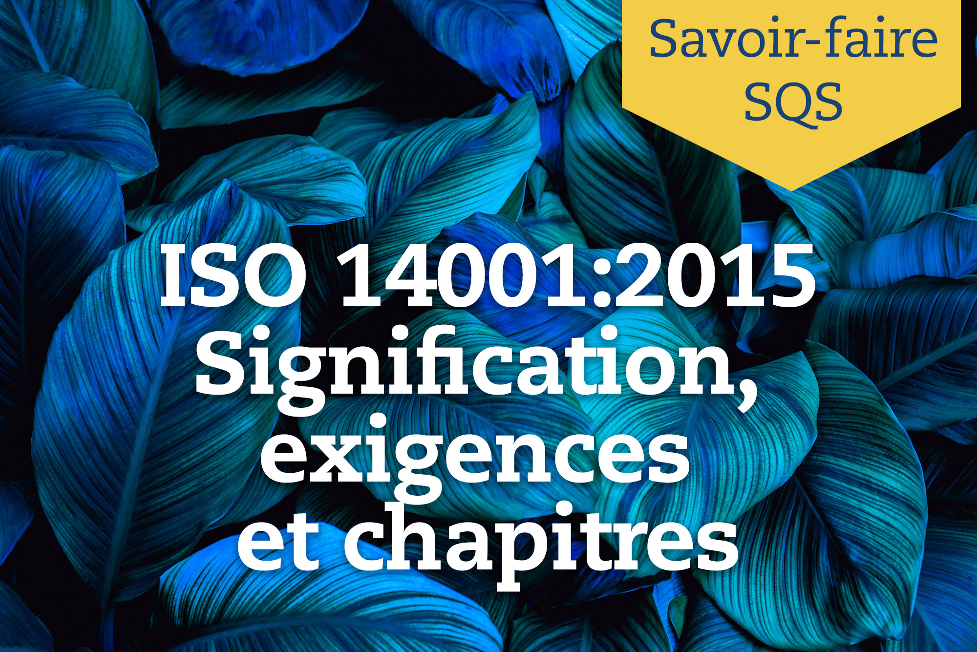 ISO 14001 – Signification, exigences et chapitres