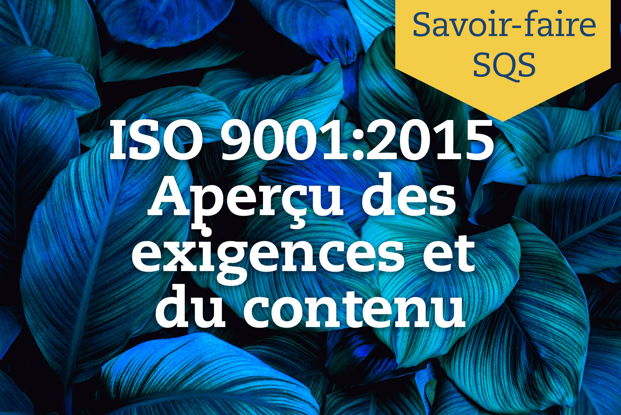 ISO 9001 – Aperçu des exigences et du contenu