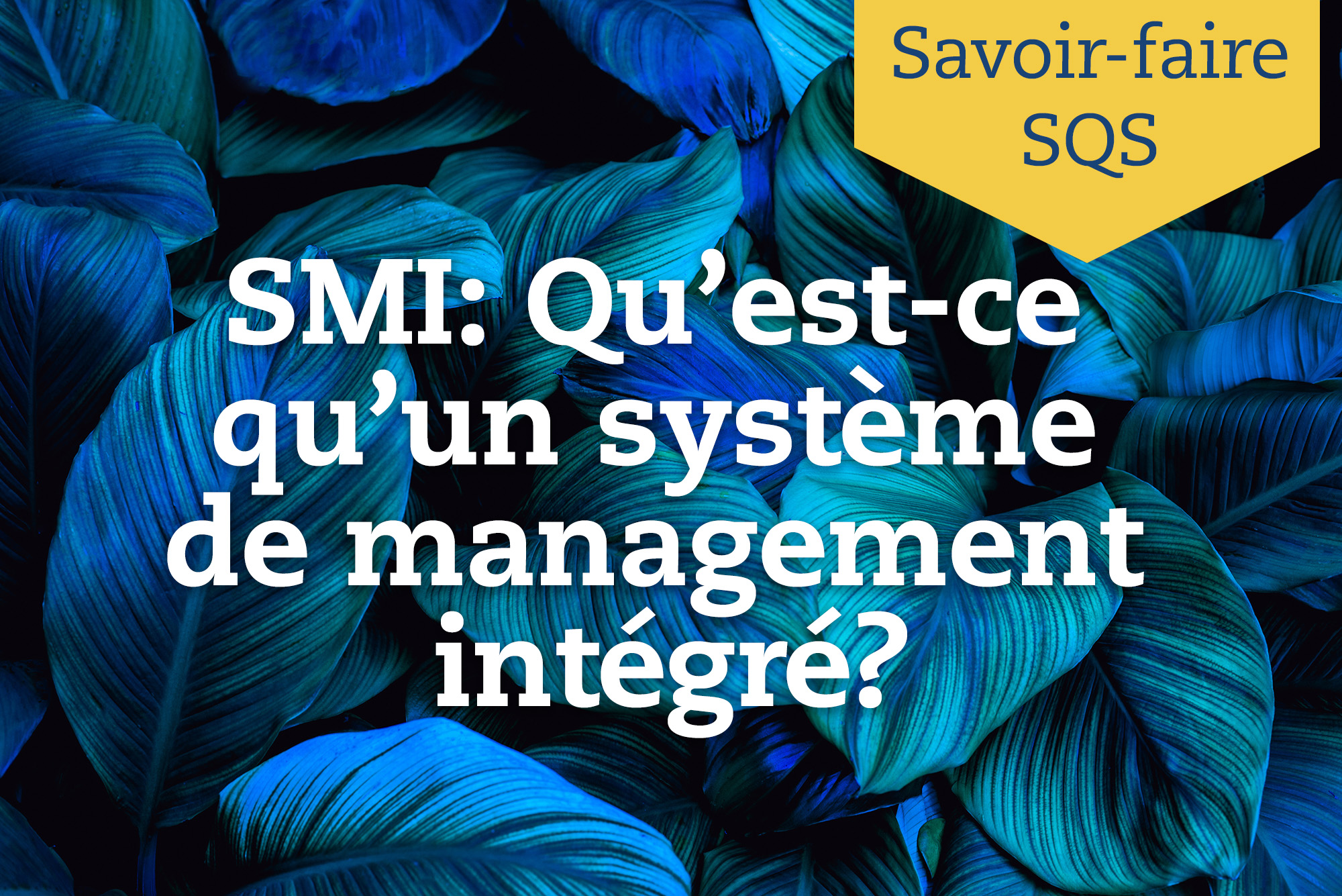 SMI – Qu’est-ce qu’un système de management intégré